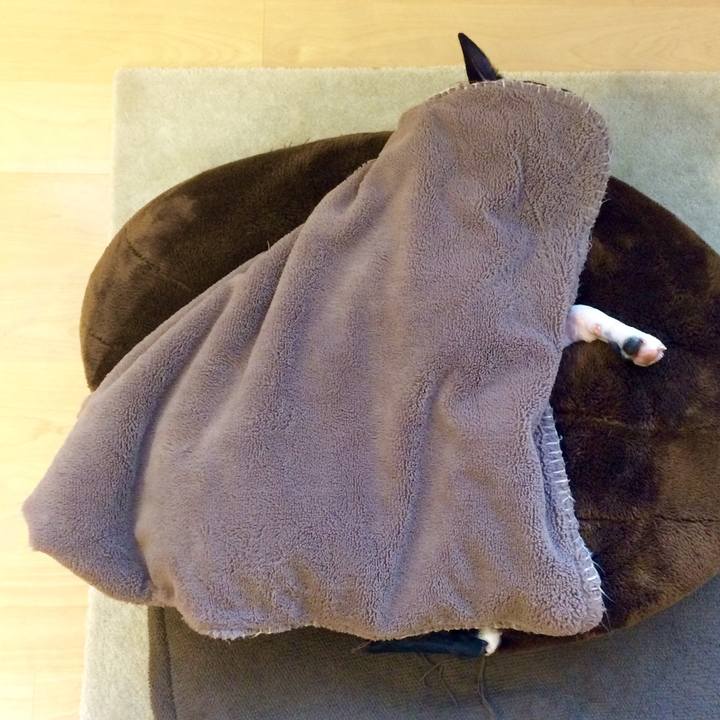 5d7ec16c 4678 41f2 8016 fb35a9a10d0f