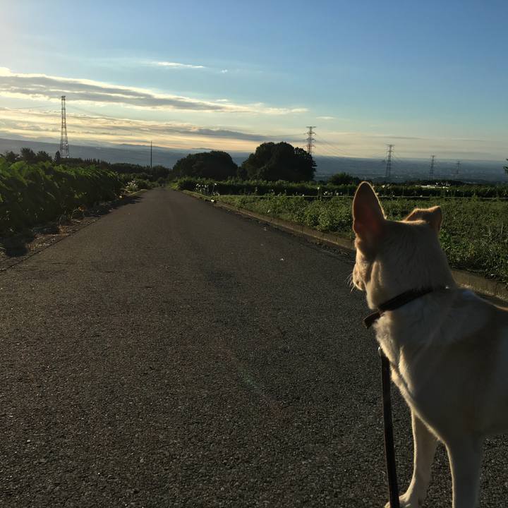 5d7f2657 deaa 4051 9f87 95199f03b091