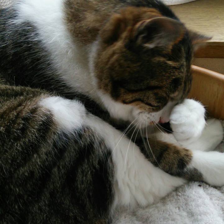 5d7f601e e535 4815 a577 8818db745edd