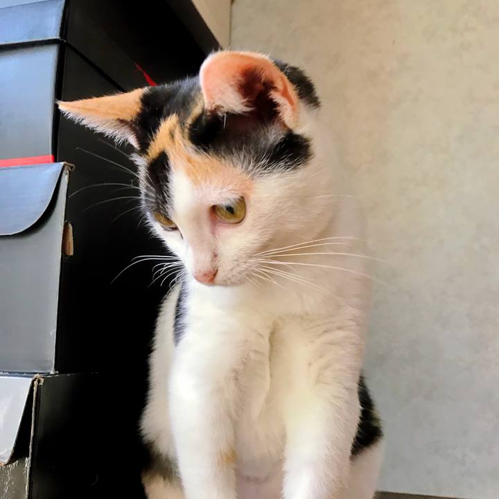 5d7f71e2 82fa 4f2b bdce 16f6dfe62f9b