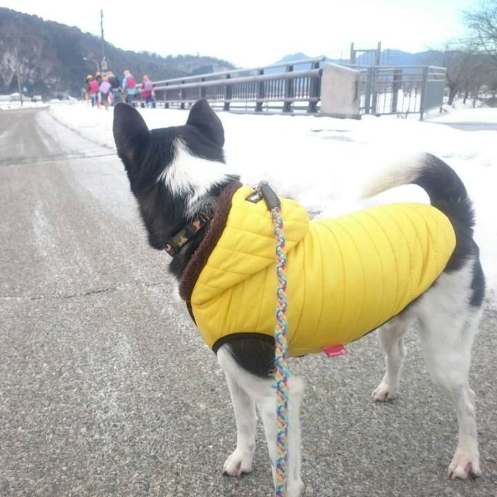 5d806e60 be4c 43c9 8e04 7d48a6807db3