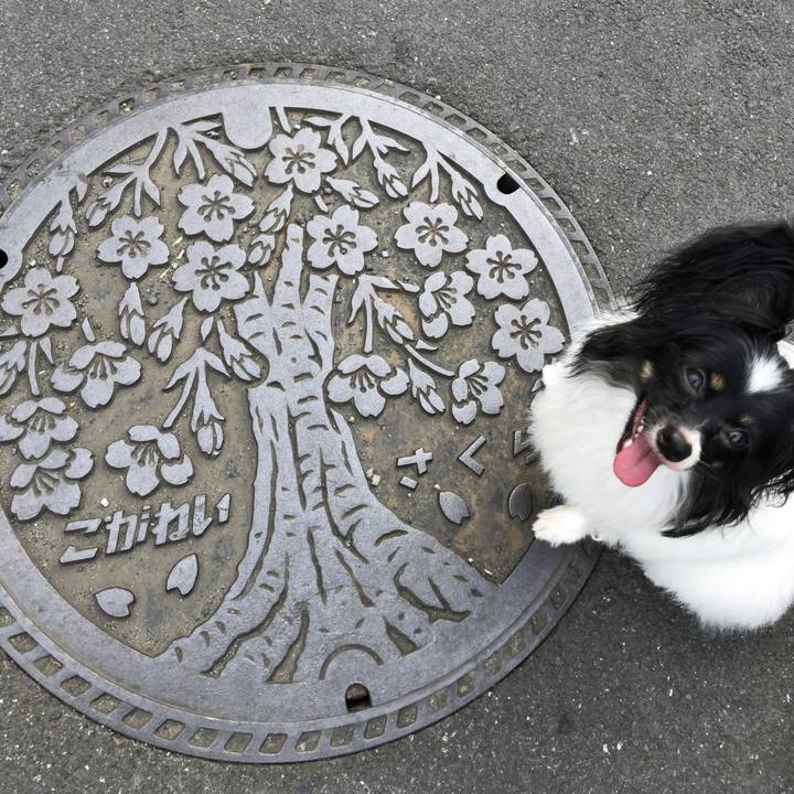 5d80bbfa b8df 4818 9592 609c0f112d5b