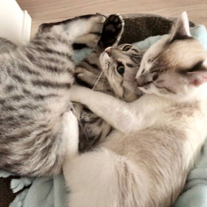 5d80d531 8dc8 4e99 8c19 fc49f3ac35c9