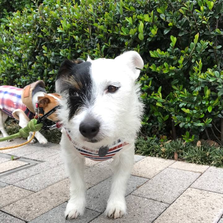 5d810c5b eb48 46ea 8d80 2136d3c99055