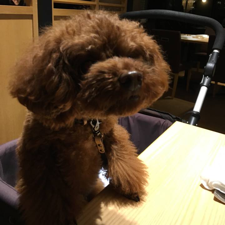 5d811883 7437 4fc1 96da c79f4d3718f7