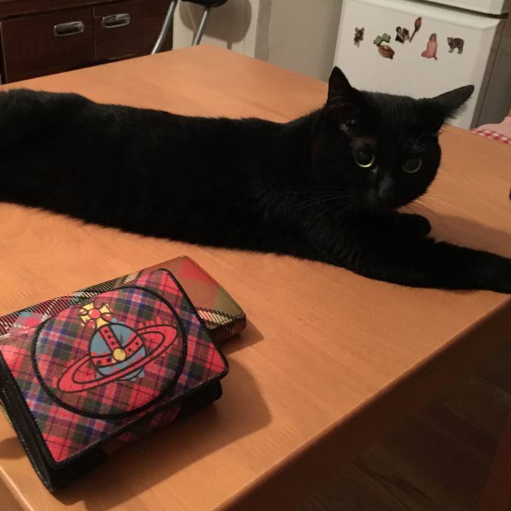 5d81426f 4fa6 41e9 93d3 cf01bfd17317