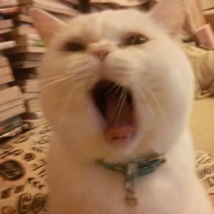 5d816161 da35 421c 9d14 eb77dd07cd25