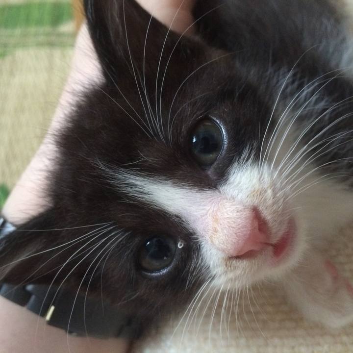 5d818994 1dcf 4b5b 9582 4fcb558ebf10