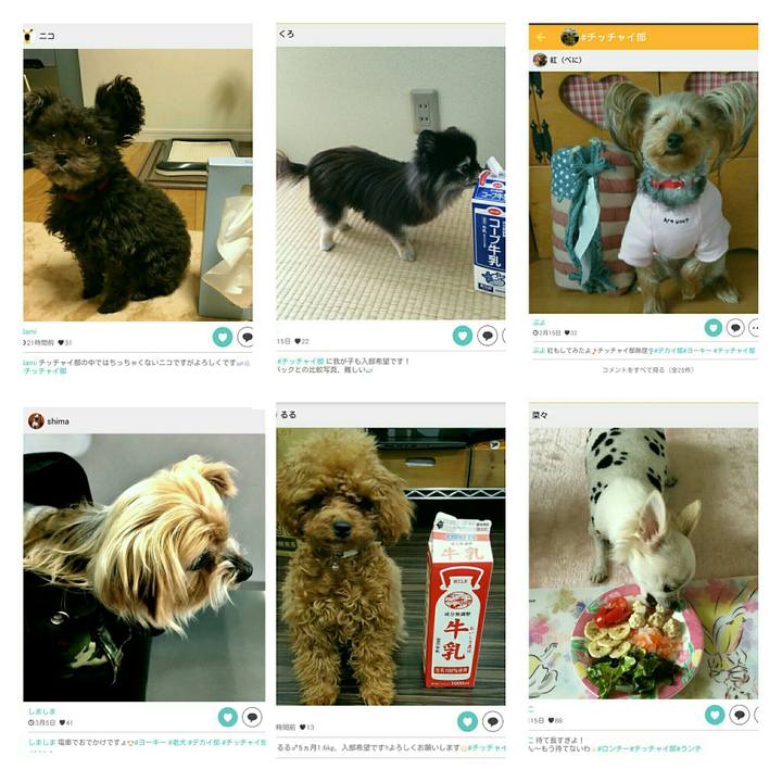 5d81a24d 4e4d 4bd3 b211 7a6b1235a424