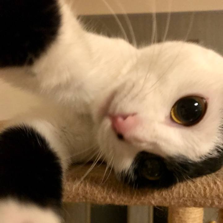 5d81c057 8d2d 4906 bca9 3680a314157a