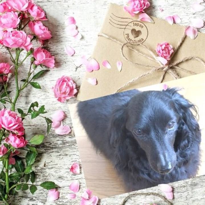 5d81c106 7f48 43aa 8974 ce01b351a4bc