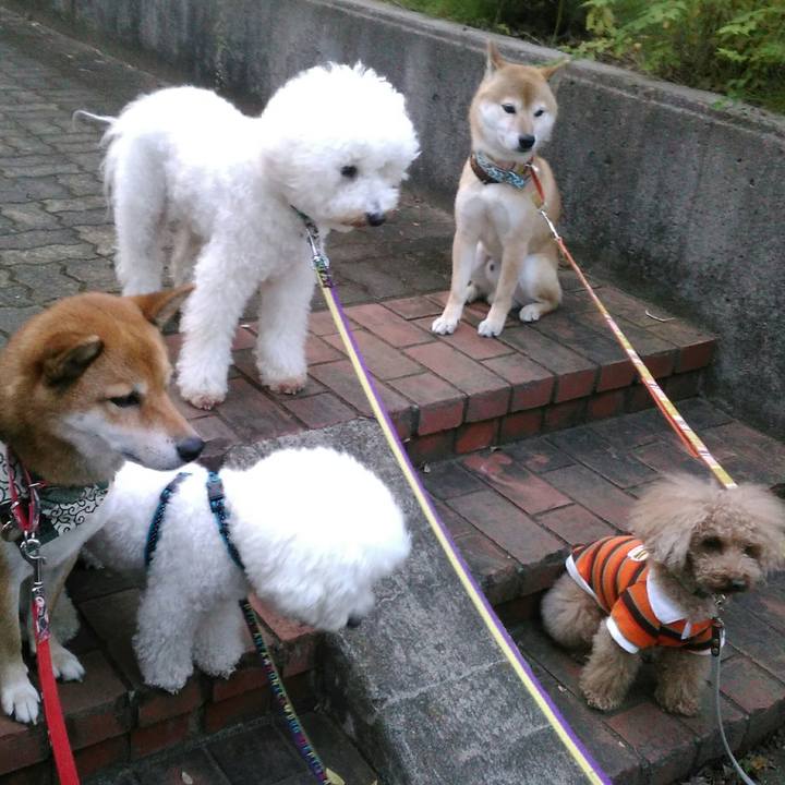 5d829eb7 3562 45c2 bd45 bc83b0d74d9f