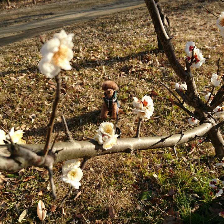 5d833ddf dfcb 4adf b0c8 8d2d13edd563