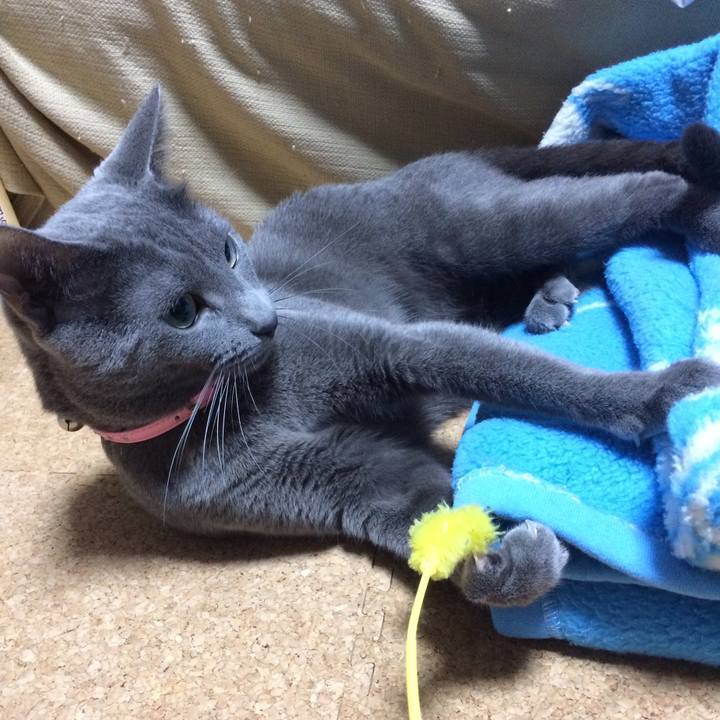 5d836121 69f6 4740 8301 367317a94d05