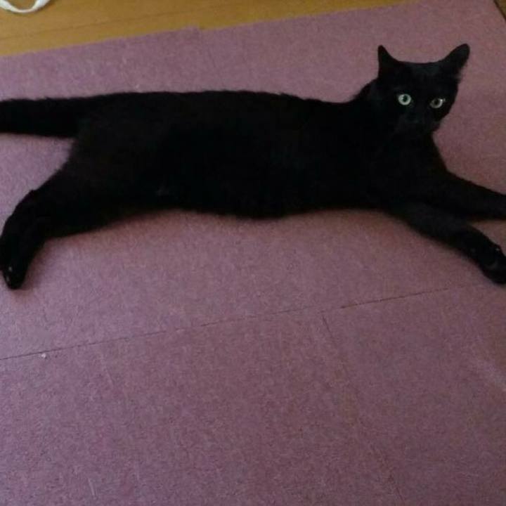 5d839b86 600f 4de7 9a46 151841096482