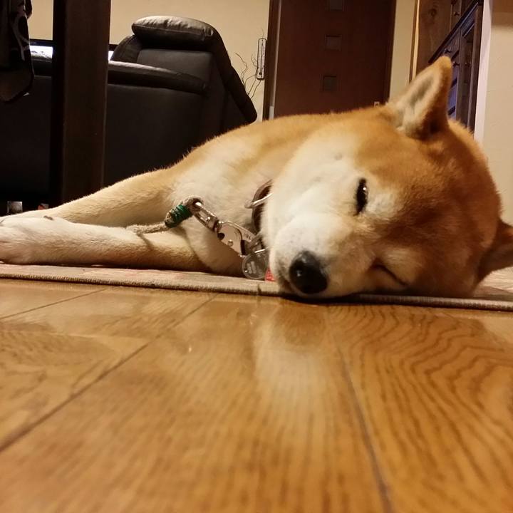 5d83f0b6 6901 482d 9704 d738febaa625