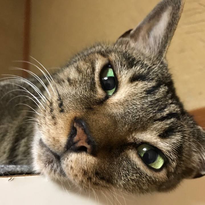 5d8432a6 6e5f 4041 9433 5298b430da66