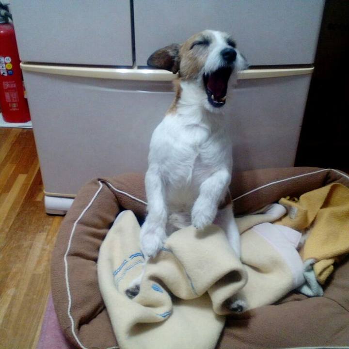 5d845f10 8584 4a60 82b6 f27dc03c3a7e