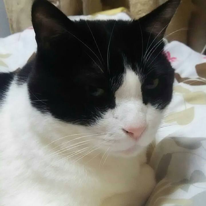 5d84647d 3555 4392 a3dd 5780d0ebb597