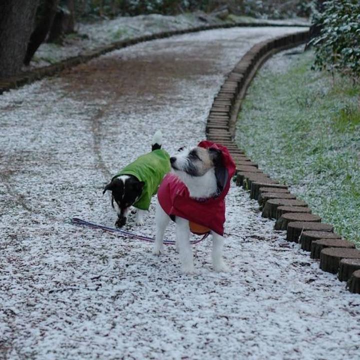 5d85b848 649e 4b48 9fc4 c4f57e8ba639