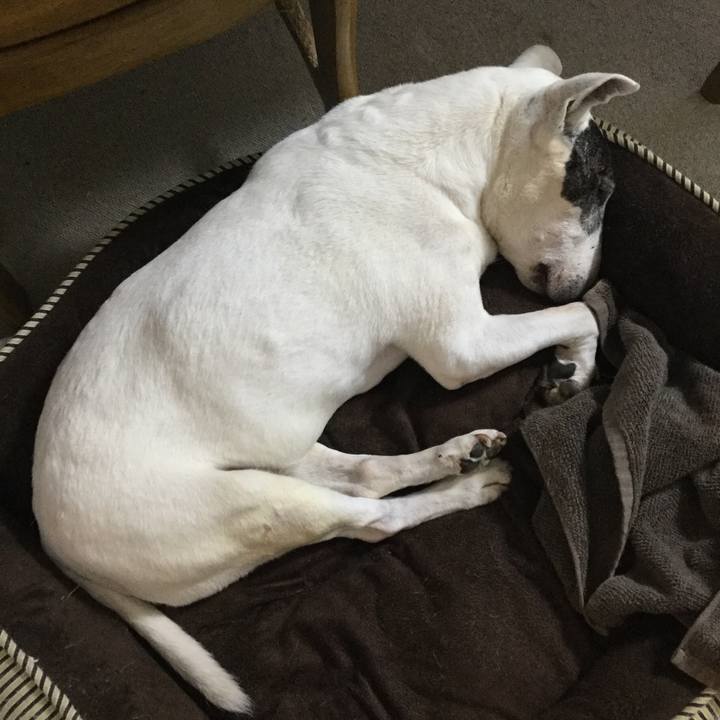 5d861597 f864 49bb a864 e5fb8945248c