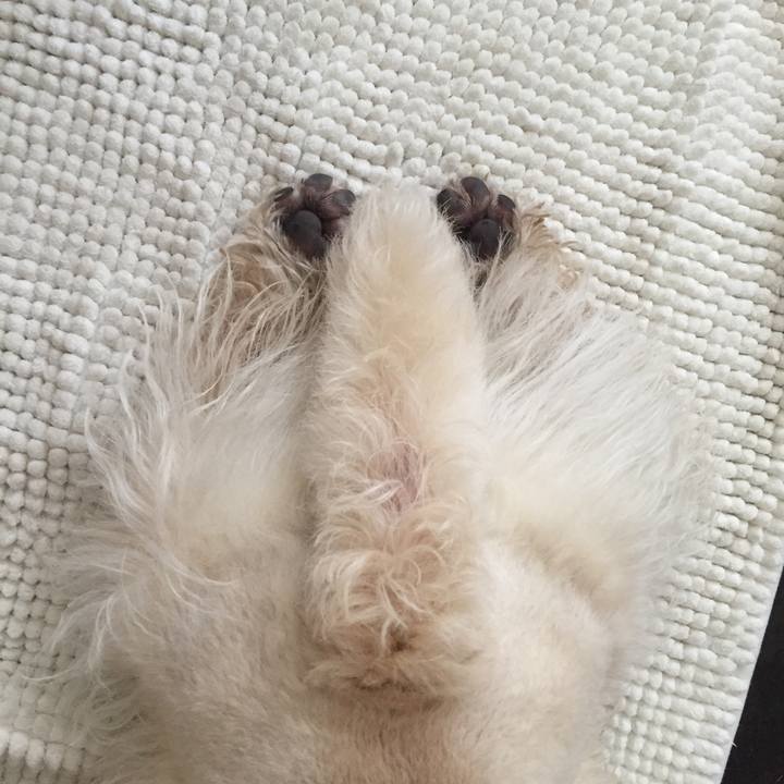 5d86247b 5f77 4719 bceb 7281c08efff7