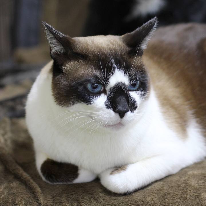 5d86327c cb5d 4a17 a688 bab40e7d874d