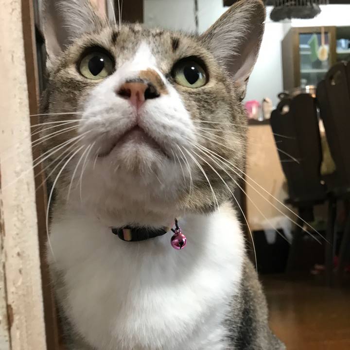 5d867236 45e1 42c7 9095 a3750da67ec3