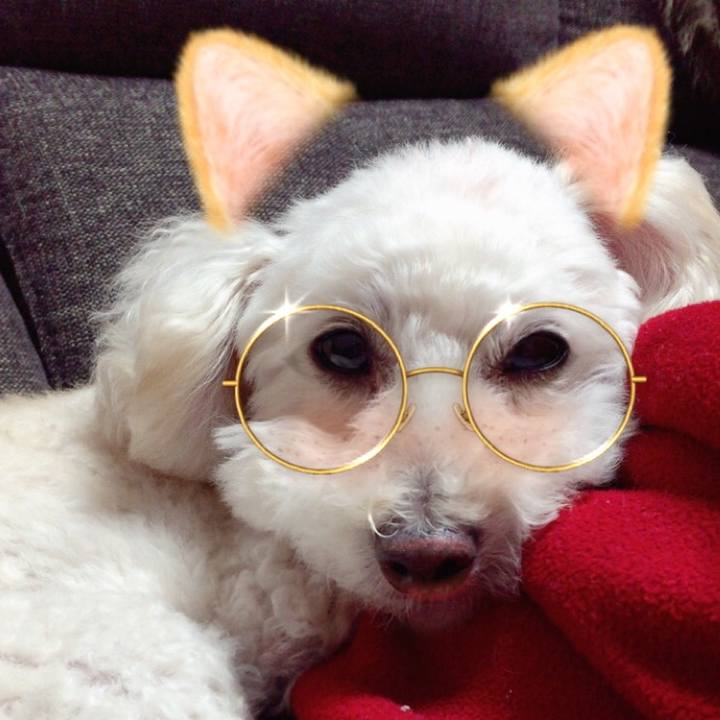 5d868cfd aa0c 406e bd47 82c77ac026d9