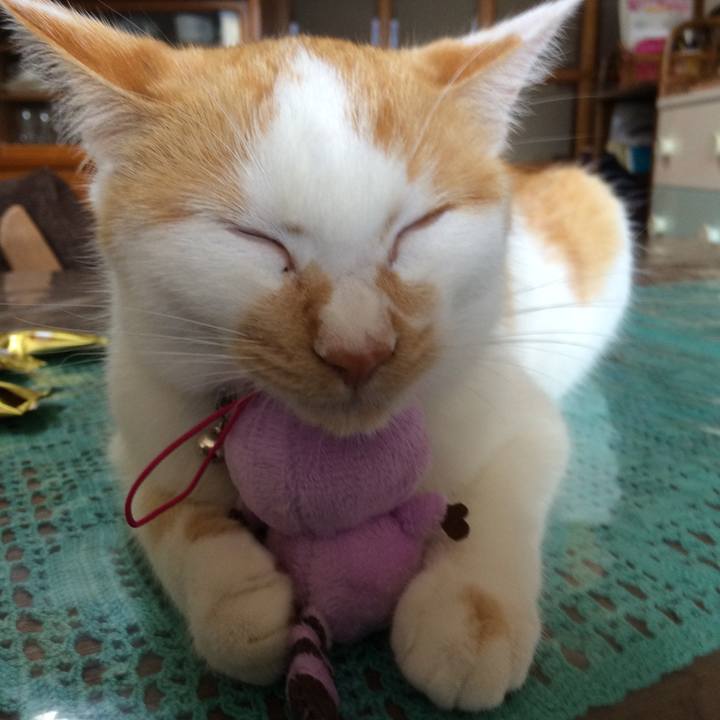 5d87702c 73fd 4875 b601 468e01933020