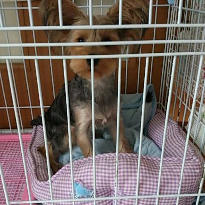 5d877b3c 356f 483b bf75 b2e7e6ac4b42