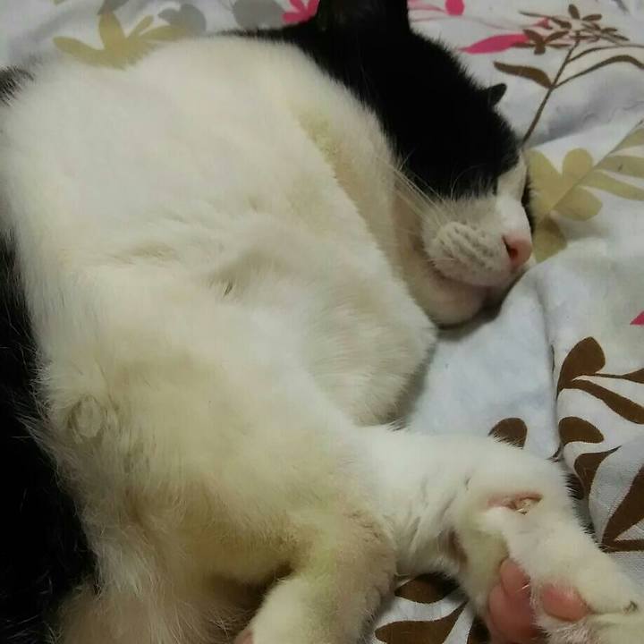 5d87ca2f f922 40a6 bcfe b9511e361727