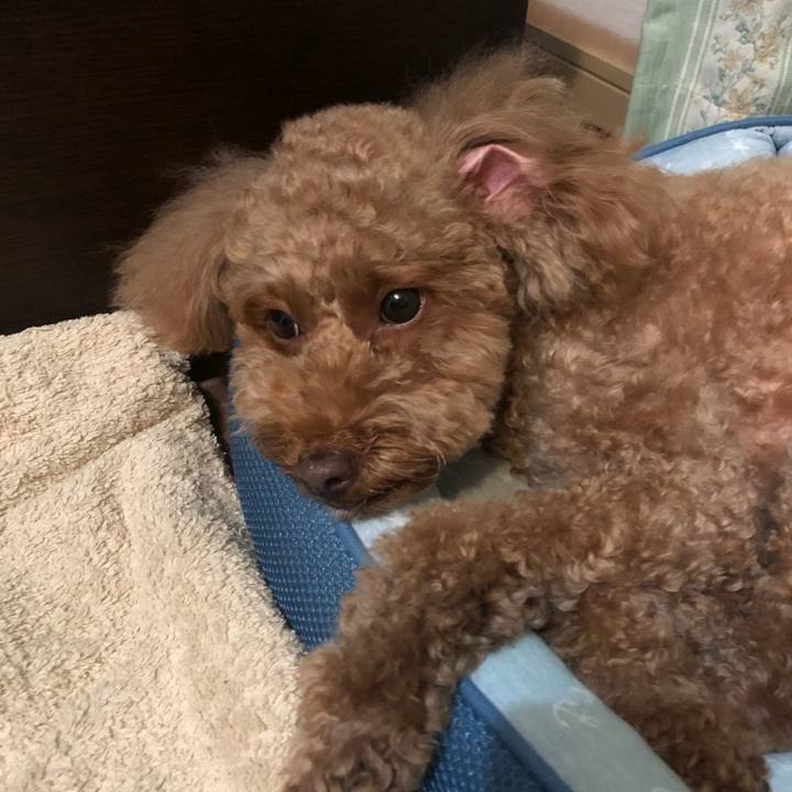 5d882ebd 8449 4249 817f 1378ea136b43