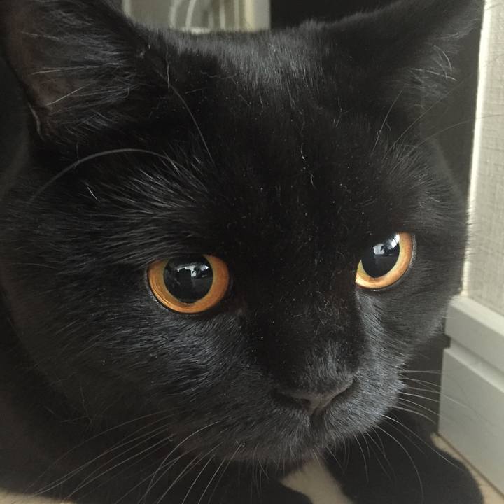 5d886133 bf75 4d8f a6d6 be8db0d2d979