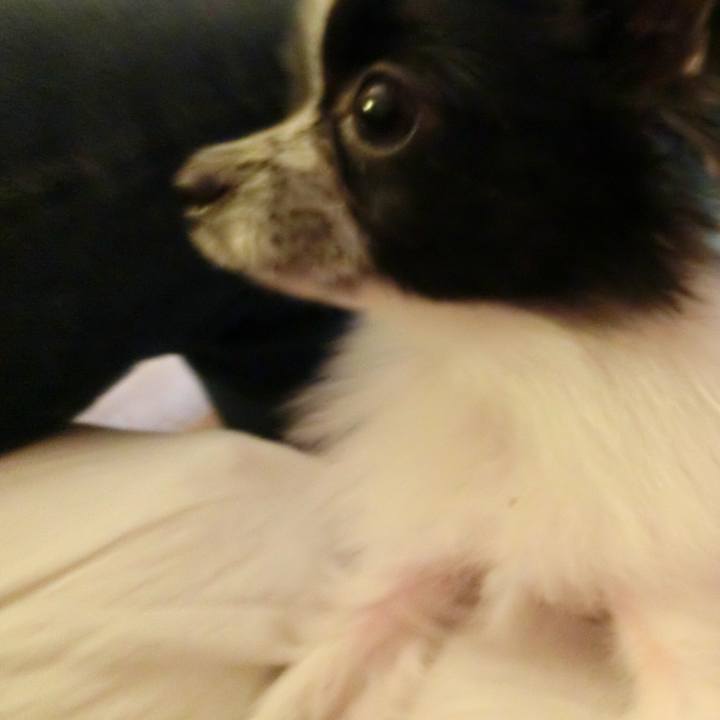 5d886209 7b10 4bb0 8942 5b5897974ad3