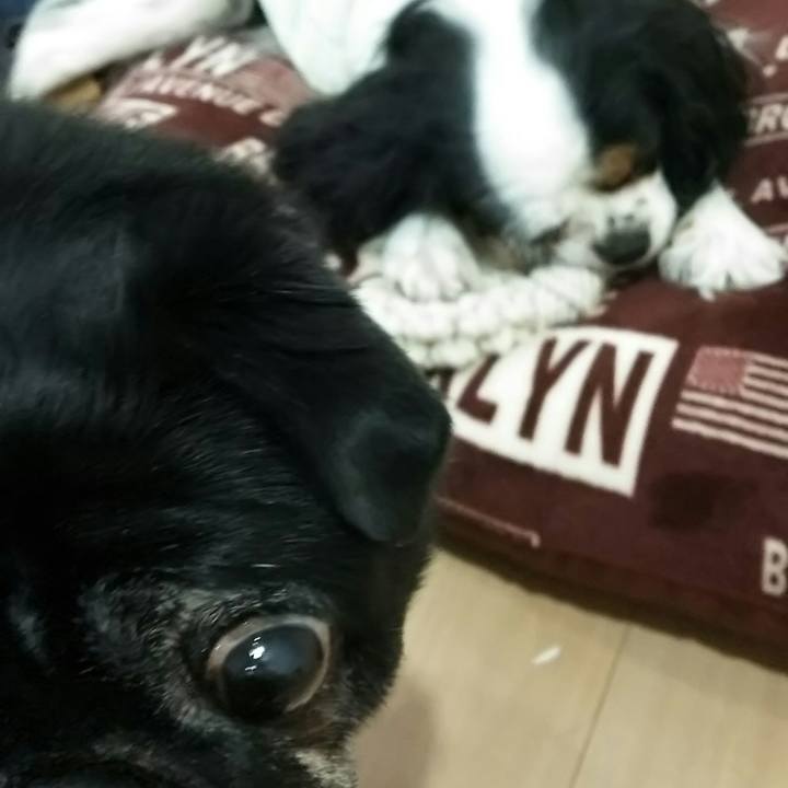 5d88621f f64d 4521 9f1c c202d922f1a4