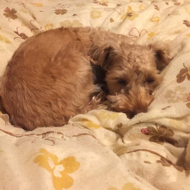 5d88a8c8 1b9e 4e1e abda 9d17a46e7df9