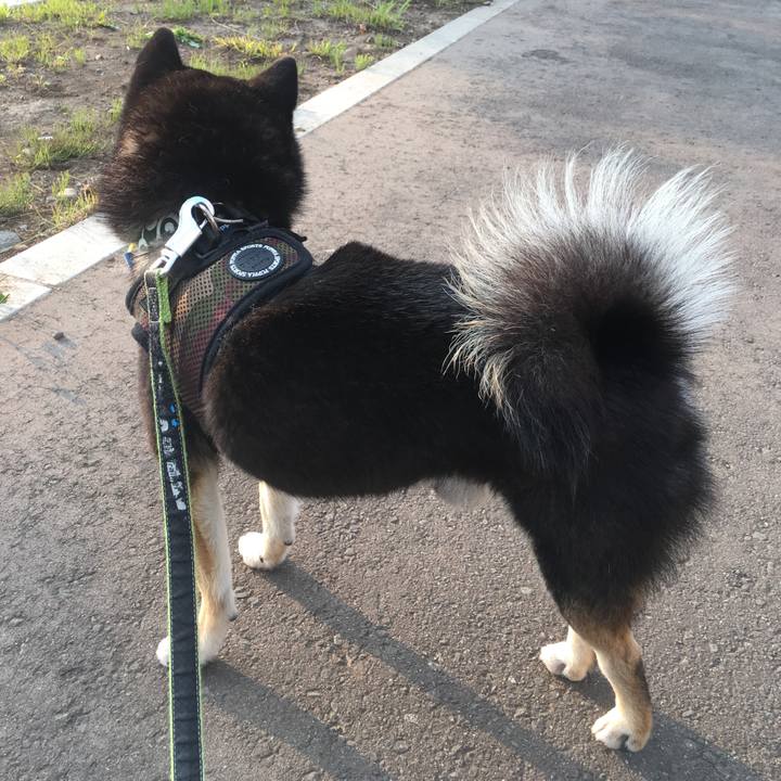 5d88abc3 7d80 4c0d 9319 08288ddcec6e