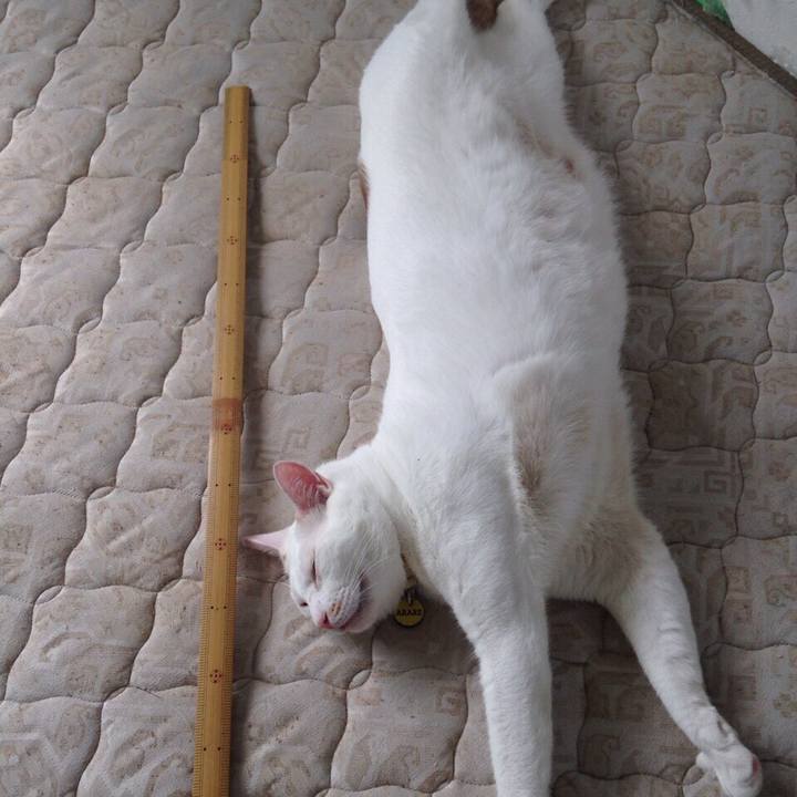 5d895ede 6971 4542 9531 146ac252a2aa