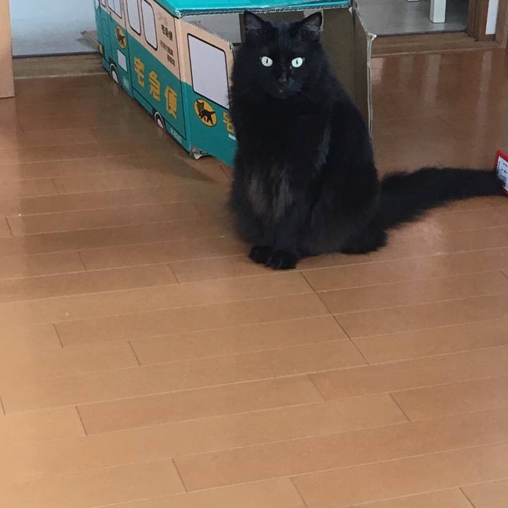 5d89d641 130c 455d bd2d 6d4590bb04d3