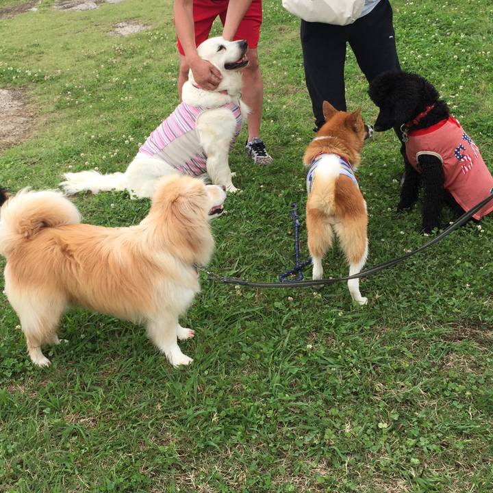 5d8a0552 137c 4ed7 9ccc d15d2f9ae4e5