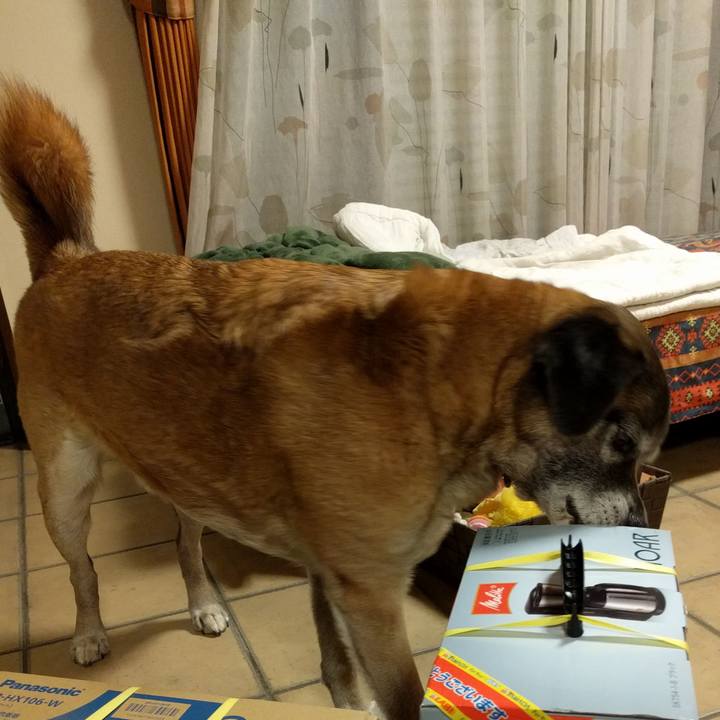 5d8a1d6f d174 423f bfef 118f98728046