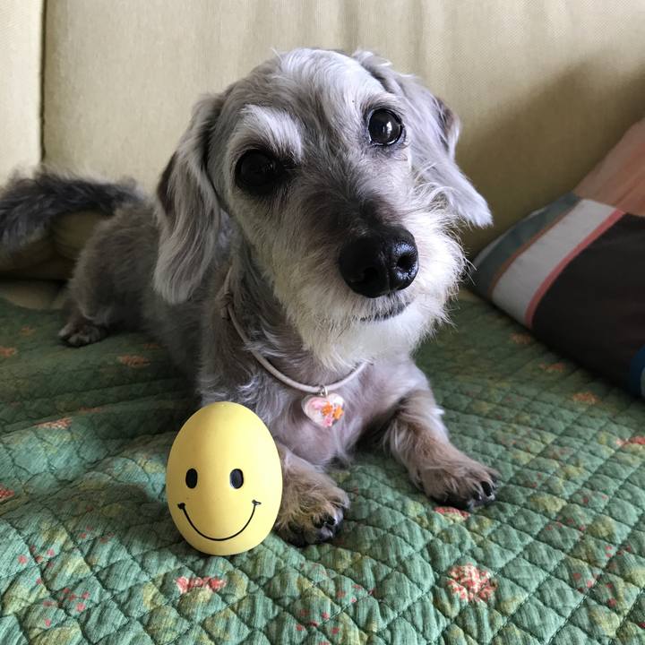 5d8a3336 7afa 4277 a9b1 82cbcf9552c9