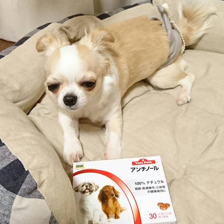 5d8b204b ea0e 486a 9552 54d21e282f4a