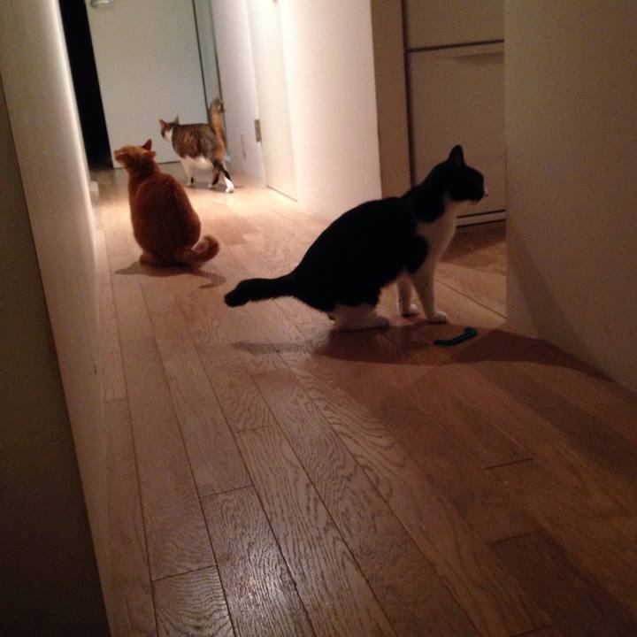 5d8b6dcc 1c62 4226 9a61 db3001d59bd1