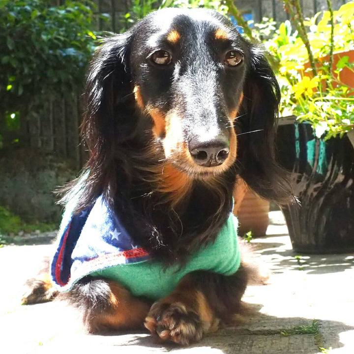 5d8c4b22 12f8 4a4a a24a b4b70be73157