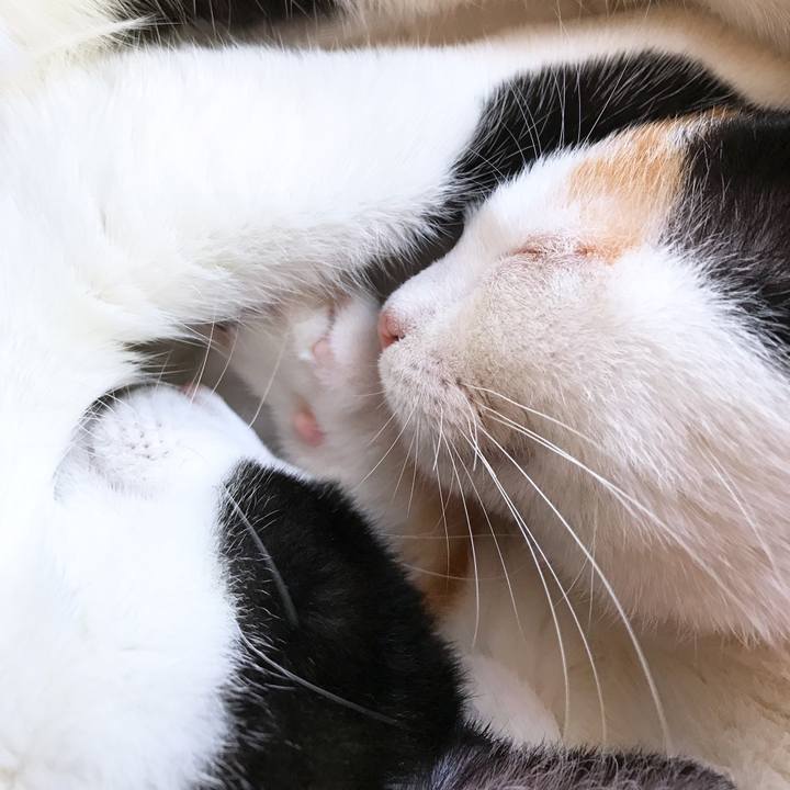 5d8c7c50 7a3a 4f64 8d63 f8e37200aa90