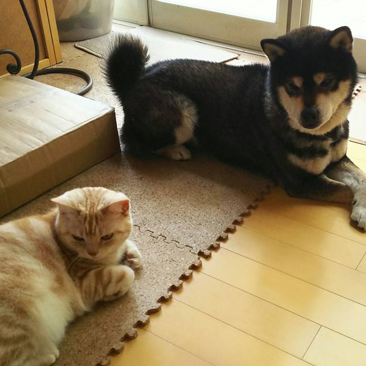 5d8cce86 1183 4db4 860f 0e1d74d75778