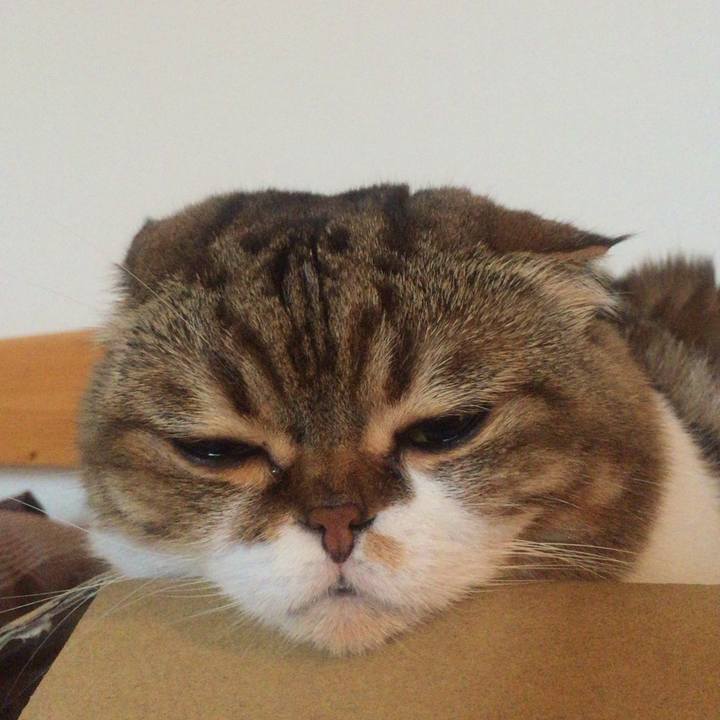 5d8d3b32 8433 4582 ae03 21781e199ea1