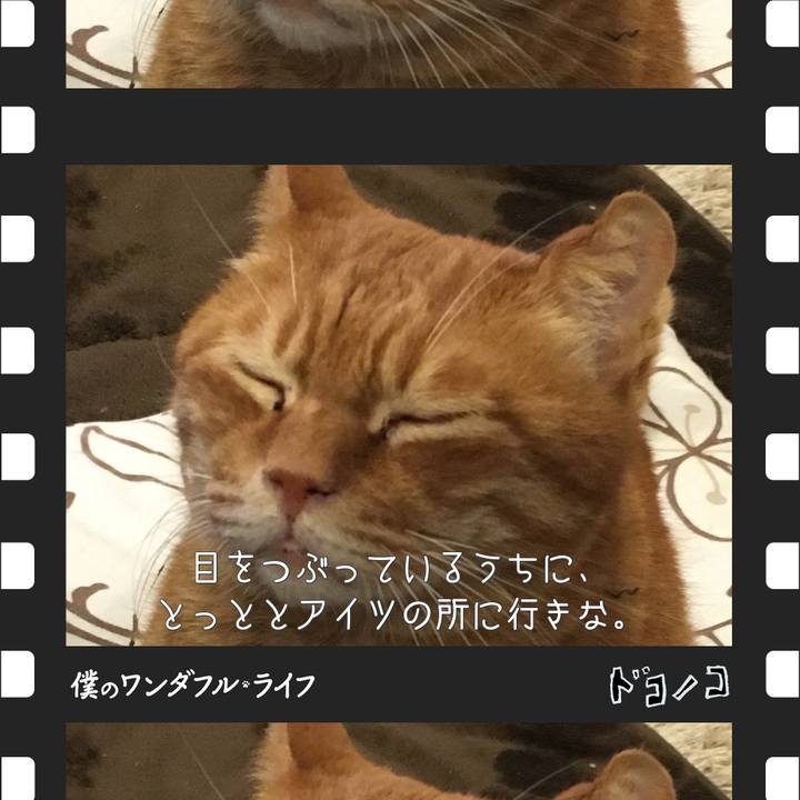 5d8d4780 8632 4b5f 9e7d 8c35fff799f3